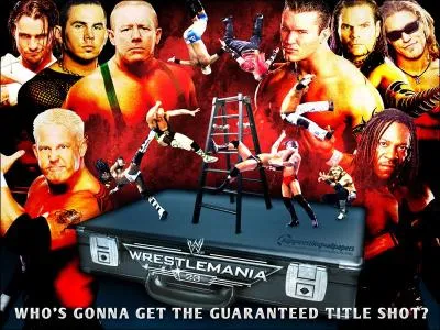 Qui a gagn le MITB de WM 23 ?