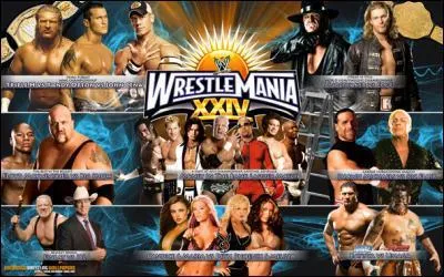 Qui a gagn le MITB de WM 24 ?