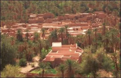 Comment appelle-t-on les habitations riges dans le dsert ?