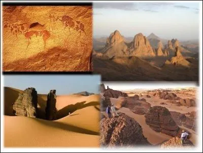Le Tassili n'Ajjer est un parc culturel Inscrit au patrimoine mondial. Ce qui fait sa renomme, c'est surtout :