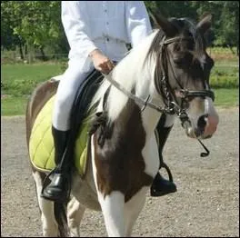 Quelle est cette robe ?