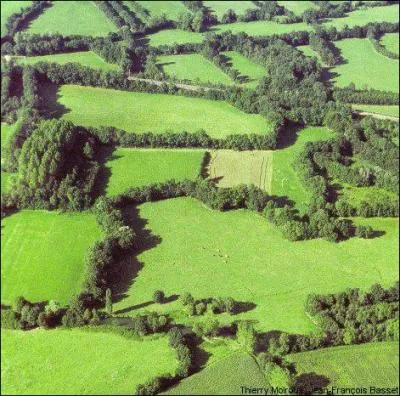 La campagne normande est forme de prs ou de champs spars par des haies. Comment s'appelle ce paysage ?