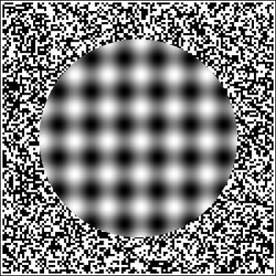 Rapprochez-vous et loignez-vous en regardant l'image. Que se passe-t-il ?