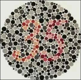 Que voyez-vous sur l'image ?