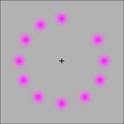 Regardez la croix au centre entre 20 et 30 secondes. Que se passe-t-il ?