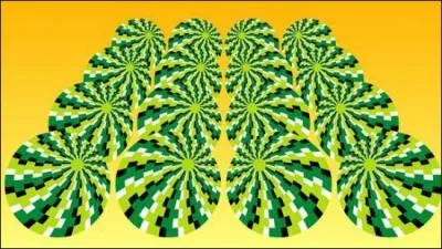 Que font les cercles de l'image ?