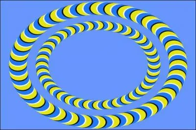 Regardez les deux ellipses. Que font-elles ?