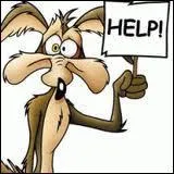 Elle excelle dans les quizz questres :