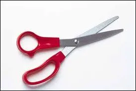 Quel est cet objet ?