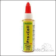 Quel est cet objet ?