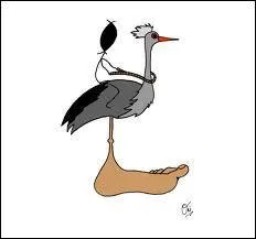 De quel animal faites-vous le pied quand on vous pose un lapin ?