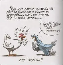 Vous allez choisir votre tailleur :