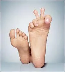 Quel membre du corps humain est un geste insultant s'il est d'honneur ?