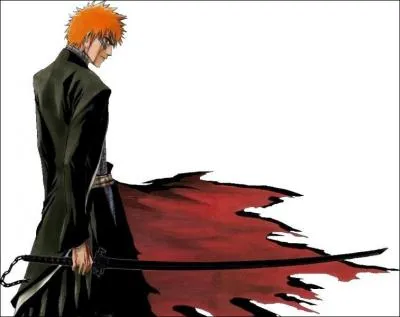 Sous quelle forme est le Zanpakuto d'Ichigo sur la photo ?