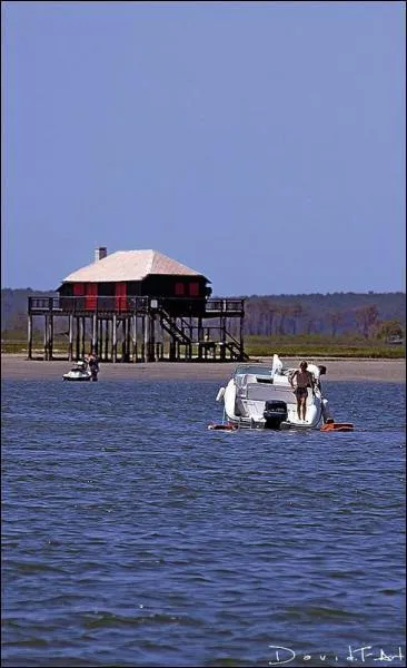 O trouve-t-on des cabanes sur pilotis ?