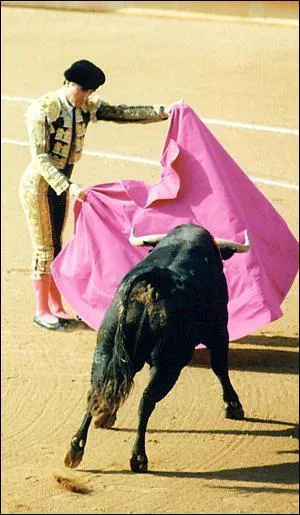 Quelle spectacle traditionnel runit de nombreux Aquitains ?