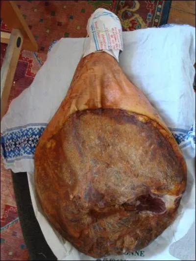 Quelle ville aquitaine a pour spcialit le jambon ?