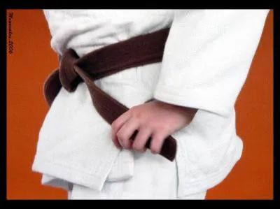 Au judo,  quel moment porte-t-on la ceinture marron, correspondant au 1er Kyu ?