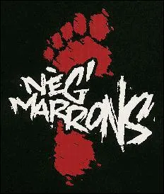 A l'poque coloniale, quel genre d'esclave qualifiait-on de 'ngre marron' ?