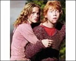 Qui sont les meilleurs amis de Harry ?