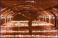 O les mutants de Charles s'entranent-ils ?