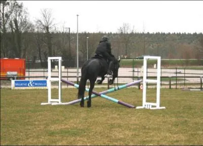 Quel est le nom de cet obstacle ?