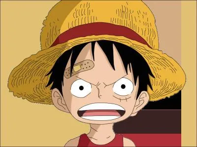 Que veut Luffy dans leur maison ?