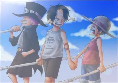 Quelle crature tenteront-ils de vaincre pour savoir qui deviendra le capitaine ?