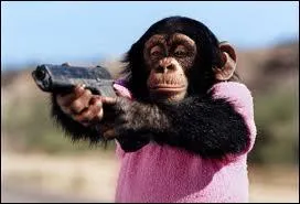 Et enfin un drle de singe qui parle, c'est ... ... ?
