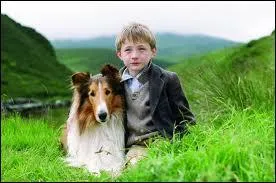 Encore un chien mais pas du mme style; comment s'appelle t'il/elle ?