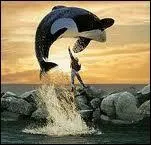 Qui est cette orque qu'il faut sauver 5 fois ?