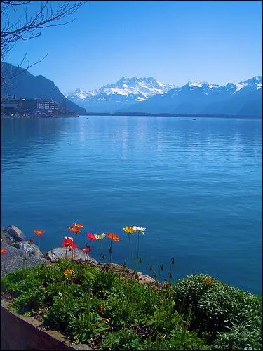 Le plus grand lac d'Europe occidentale est partag entre la France et la Suisse. Il s'agit du lac... ?
