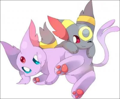 Qui sont ces Pokmon ?