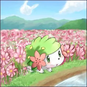 Quel est le nom de ce Pokmon ?