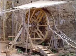 A quoi servait une cage  cureuil au Moyen-Age ?