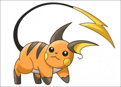 Combien mesure Raichu ?