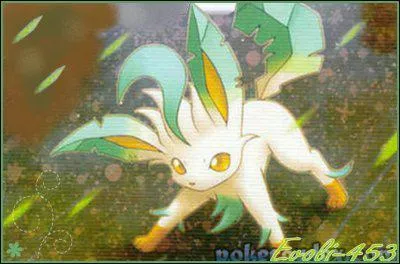 Phyllali est un Pokmon de quel type ?