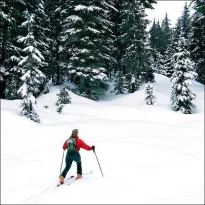 Y a-t-il des stations de ski en Auvergne ?