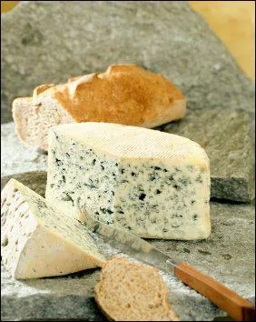 La rgion est connue pour le Bleu d'Auvergne, mais produit bien d'autres fromages. Quel fromage n'est pas auvergnat ?