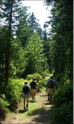Quel parc naturel peut-on visiter dans la moiti Est de l'Auvergne ?