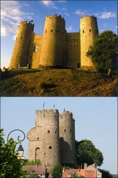 Quelle grande famille de France a pour berceau historique l'actuel dpartement de l'Allier, en Auvergne ?
