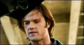 En quelle voiture connue l'embrouilleur le transforme-t-il ?