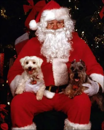 Rouge, comme les habits du ...