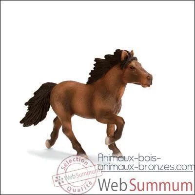 Quelle est la race de ce cheval ?