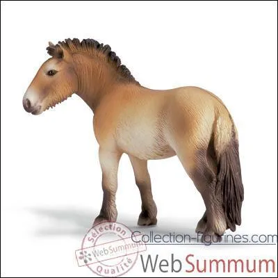 Quelle est la race de ce cheval ?