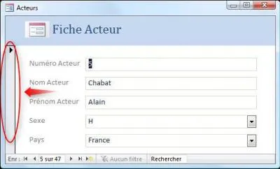 La barre verticale  gauche du formulaire se nomme :