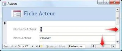 Ces barres  droite du formulaire sont appeles :