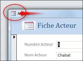 Dans Access, cette icne se nomme :