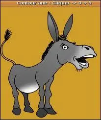 Ane qui brait sans fin... .