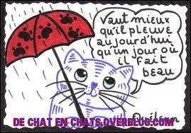 Juin : Saint Pierre pluvieux...